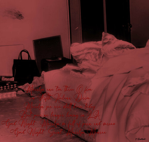 Marilyn's Last Night par Thomas Dellert, Photographie en vente sur Singulart
