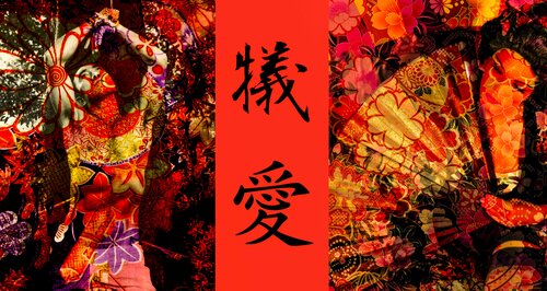 Yukio Mishimas Sacrifice di Thomas Dellert, Fotografia in vendita su Singulart