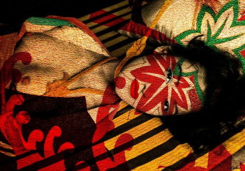 Flower Geisha di Thomas Dellert, Fotografia in vendita su Singulart