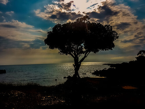 Coastline in the Cote D'Azure / Riviera France van Thomas Dellert, Fotografie te koop op Singulart