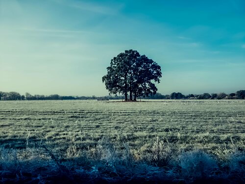 Northern Germany in winter Thomas Dellert