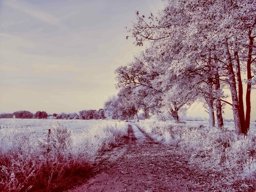German winter lanscape Thomas Dellert