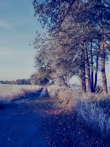 Blauer Winterfrost Deutschland van Thomas Dellert, Fotografie te koop op Singulart