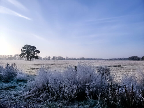 Gefrorene deutsche Erde par Thomas Dellert, Photographie en vente sur Singulart