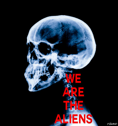 WE ARE THE ALIENS par Thomas Dellert, Photographie en vente sur Singulart