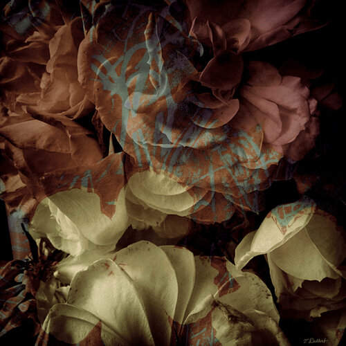 Autumn Roses.       ( after Tina Modotti ) van Thomas Dellert, Fotografie te koop op Singulart