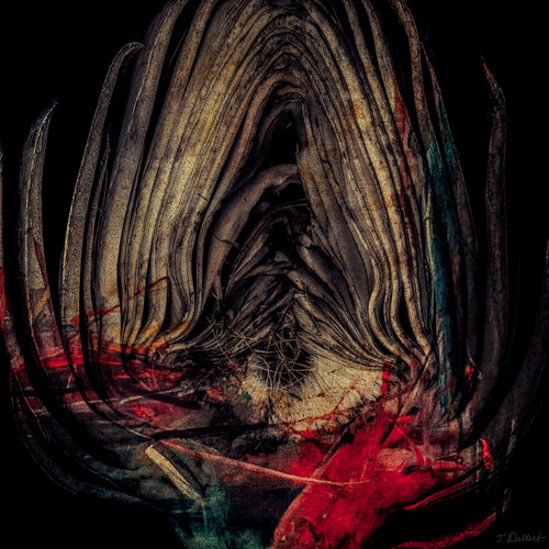 Heart of artichoke.          ( after Edward Weston ) van Thomas Dellert, Fotografie te koop op Singulart