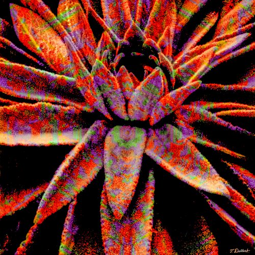 Mexican Plant.  ( after Tina Modotti ) van Thomas Dellert, Fotografie te koop op Singulart