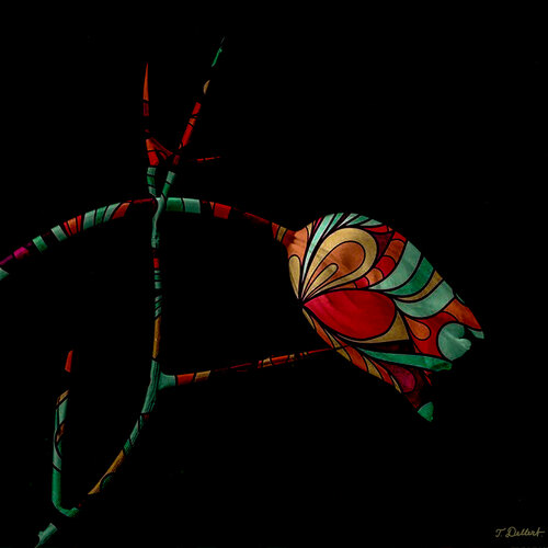 Pucci Flower van Thomas Dellert, Fotografie te koop op Singulart