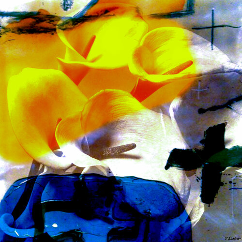 Swedish Flowers par Thomas Dellert, Photographie en vente sur Singulart