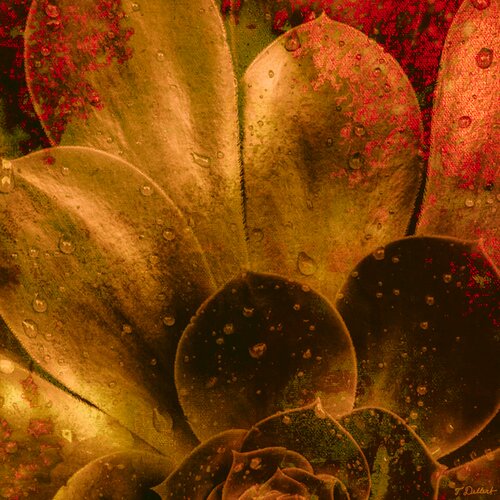 Golden Plant par Thomas Dellert, Photographie en vente sur Singulart
