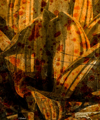 Mexican Speckled Plant par Thomas Dellert, Photographie en vente sur Singulart