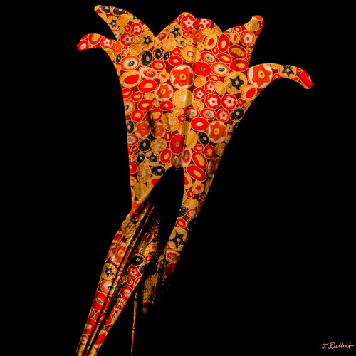Flower  in homage to Gustaf Klimt par Thomas Dellert, Photographie en vente sur Singulart