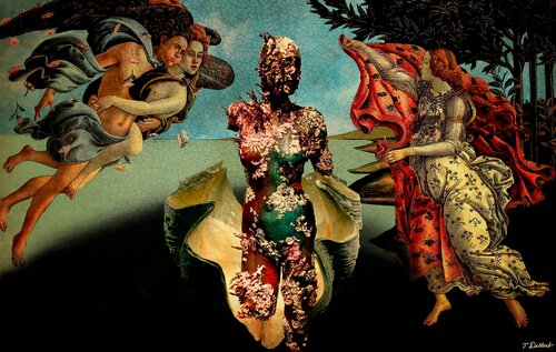 The new VENUS breaking out of her shell  ( based on a painting by Botticelli ) Thomas Dellert