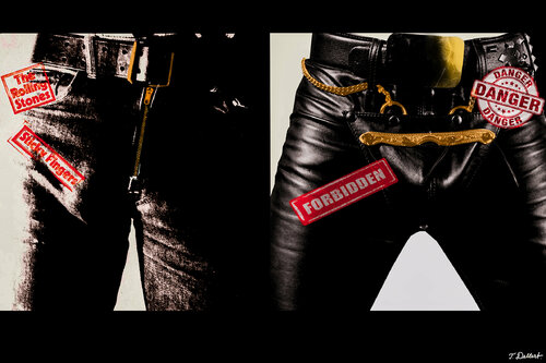HOT BOYS    ( after Warhol and Mapplethorpe ) Thomas Dellert