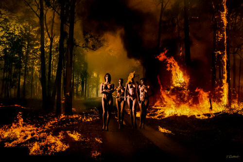 BURNING LOVE     ( naked  Helmut Newton women in the burning forest  in a light-box ) par Thomas Dellert, Photographie en vente sur Singulart
