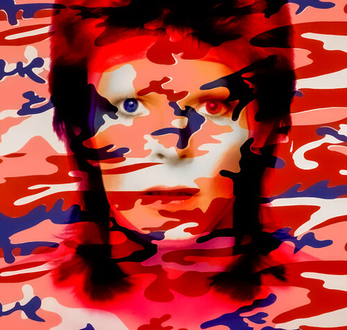 BOWIE CAMO par Thomas Dellert, Photographie en vente sur Singulart