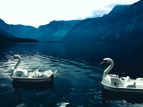 Swan Lake par Thomas Dellert, Photographie en vente sur Singulart