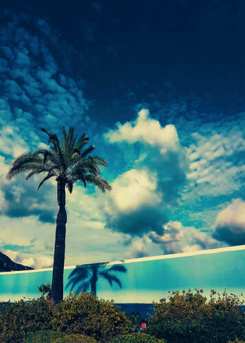 Hiding in plain site par Thomas Dellert, Photographie en vente sur Singulart