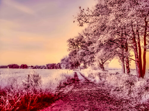 Atomic  Winter Landscape par Thomas Dellert, Photographie en vente sur Singulart