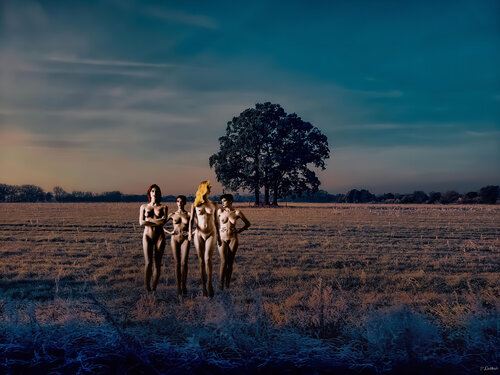 Nackt in der kalten Deutschen Landschaft par Thomas Dellert, Photographie en vente sur Singulart