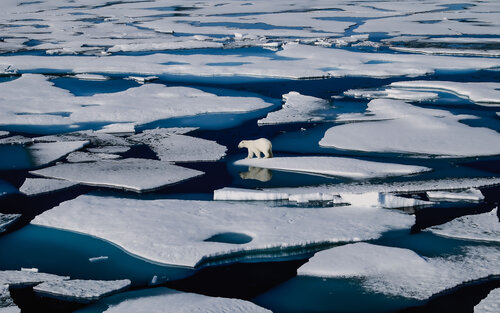 Lonely. in a Melting World    ( Soon no more options ) par Thomas Dellert, Photographie en vente sur Singulart