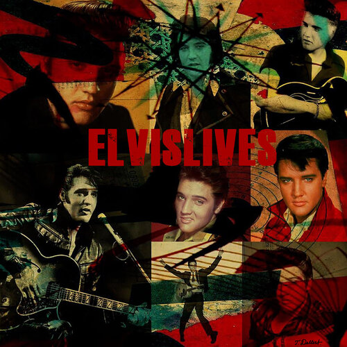 ELVISLIVES.      is a true anagram par Thomas Dellert, Photographie en vente sur Singulart
