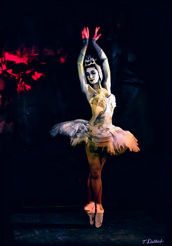 The Swan   ( Dame Margot Fonteyn ) van Thomas Dellert, Fotografie te koop op Singulart