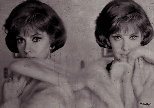 GINA Lollobrigida in Mink 1960s Thomas Dellert