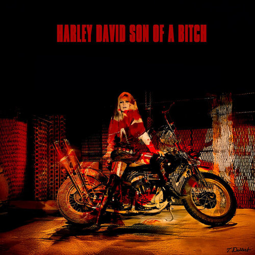 BB  Harley-Davidson / Moi et ma Harley David, fils de pute von Thomas Dellert, Fotografie kaufen auf Singulart