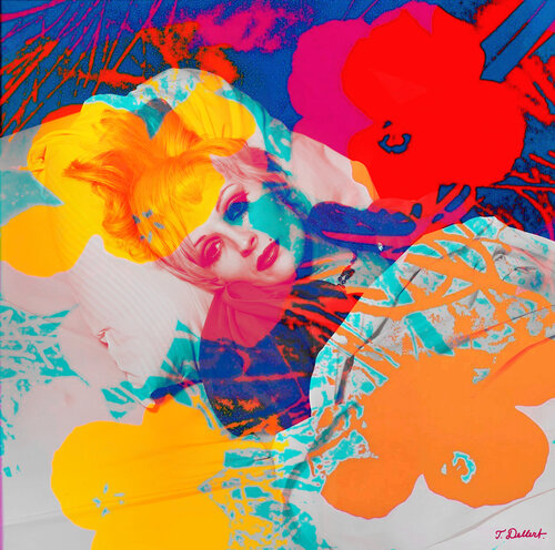Candy Flowers.       Beautiful flowers never grow old van Thomas Dellert, Fotografie te koop op Singulart