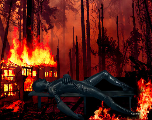 Who set the World on fire ? van Thomas Dellert, Fotografie te koop op Singulart