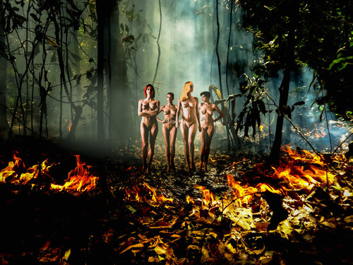 Naked in the Burning Rain Forrest di Thomas Dellert, Fotografia in vendita su Singulart