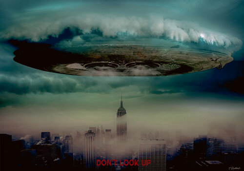 Don't Look Up di Thomas Dellert, Fotografia in vendita su Singulart