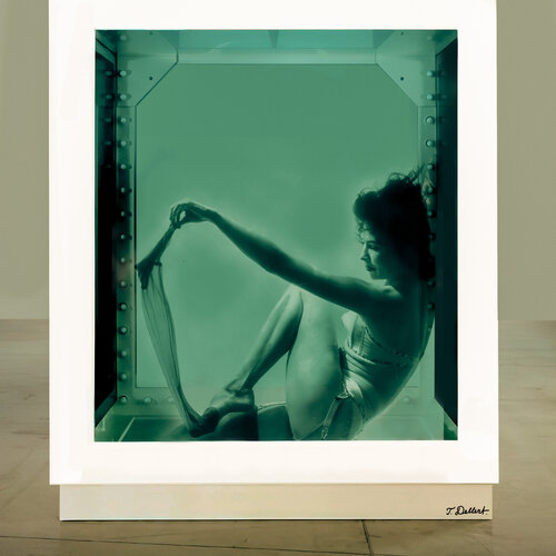 MERMAID. Under Water Strip Tease in a Damien Hirst Shark tank Thomas Dellert