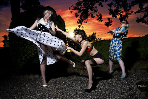 Wag the Dog par Thomas Dellert, Photographie en vente sur Singulart