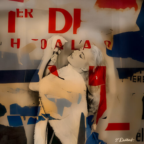 ANITA's Pussy par Thomas Dellert, Photographie en vente sur Singulart