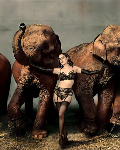 Dita in the Zoo with Richard Avedon par Thomas Dellert, Photographie en vente sur Singulart