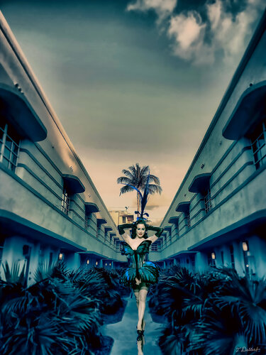 Dita butterfly in Miami Based on a photograph by T Dellert par Thomas Dellert, Photographie en vente sur Singulart