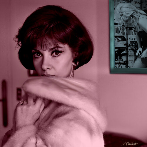 Red Brunette or Blond Lollo always loved  to wear real  Mink and real Nylons Thomas Dellert