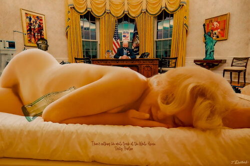 Marilyn was never invited to the White House.    Based on the very last Monroe photograph 1962 taken by L.E.Nygårds par Thomas Dellert, Photographie en vente sur Singulart