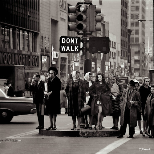 Dita Stopping the NY Traffic by Thomas Dellert, 사진 for Sale on Singulart