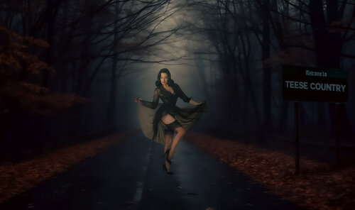 Wellcome to TEESE Country par Thomas Dellert, Photographie en vente sur Singulart