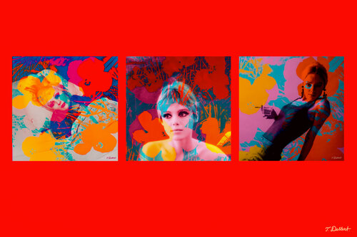 Warhols Muse- Eddie Sedgwick di Thomas Dellert, Fotografia in vendita su Singulart