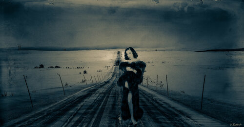 Dita Hot in the Cold par Thomas Dellert, Photographie en vente sur Singulart