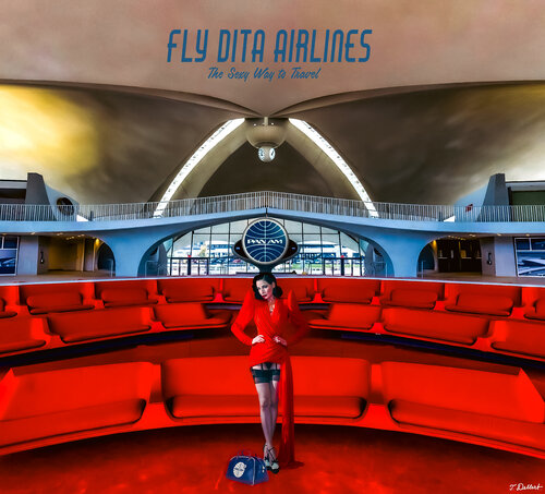 Fly Dita Airlines par Thomas Dellert, Édition en vente sur Singulart