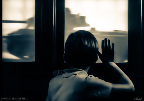 Knowing they are here van Thomas Dellert, Fotografie te koop op Singulart