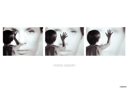 Fading memory Thomas Dellert