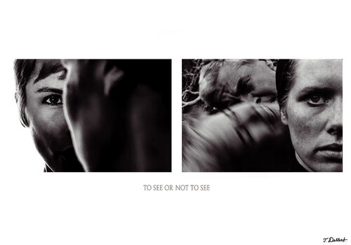 To See or Not to See Thomas Dellert