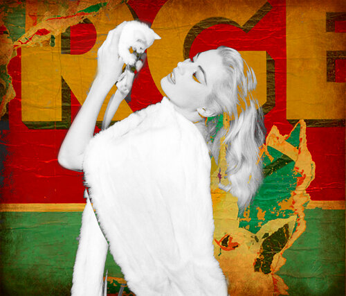 Anitas white Pussy Cat. par Thomas Dellert, Photographie en vente sur Singulart